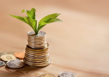 Loans Update - June 14